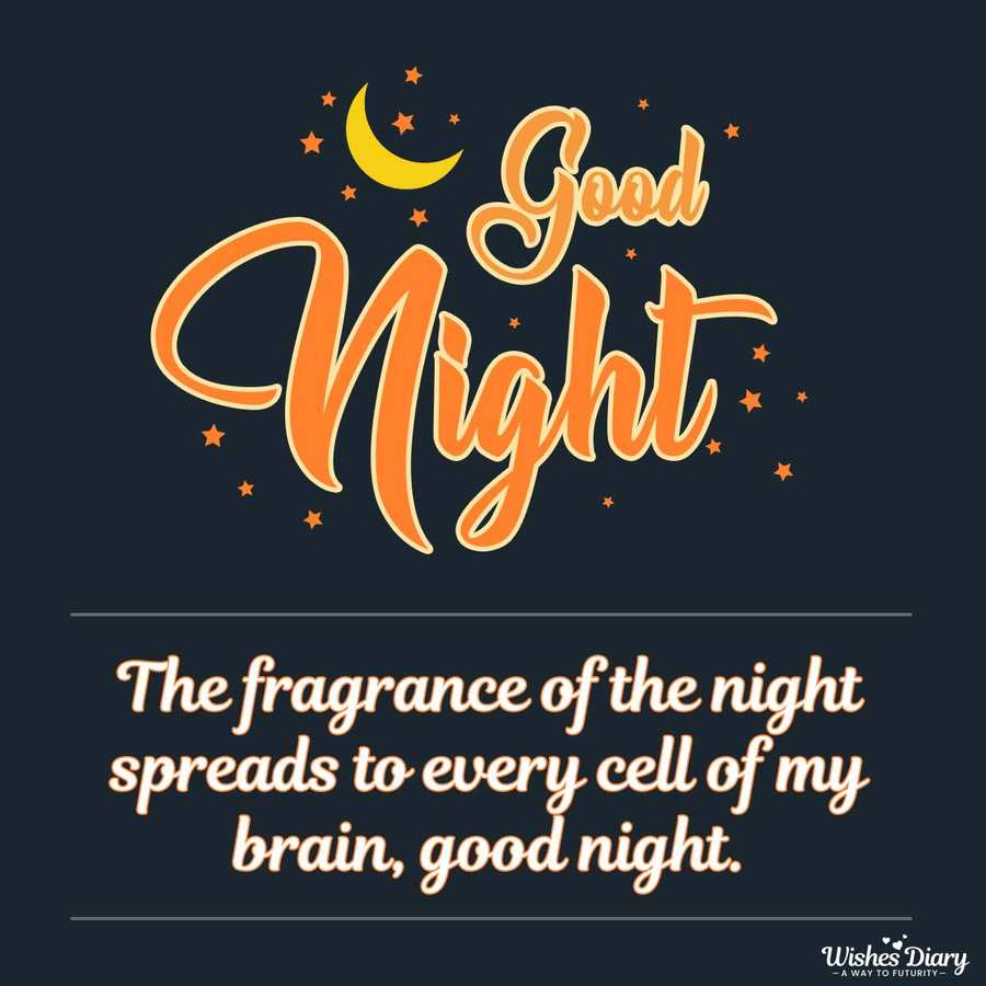 Best Beautiful Cute New Good Night Wishes Message SMS English